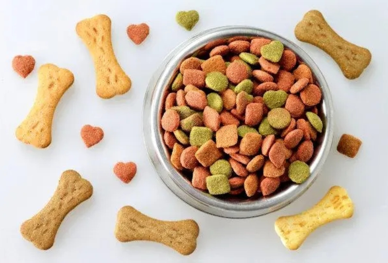 寵物食品出口全攻略：從操作流程到費用明細！
