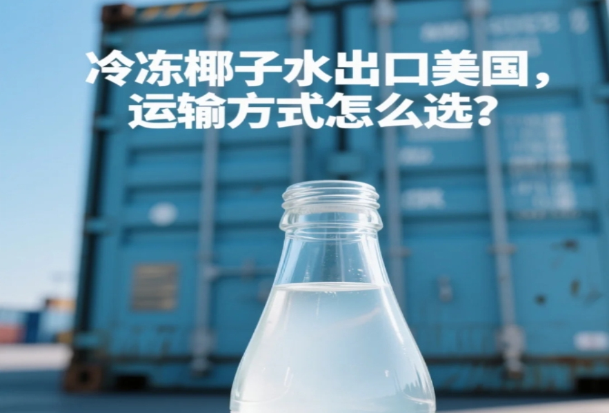拼柜vs整柜：冷凍椰子水出口美國怎么選？